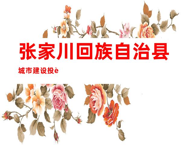 张家川回族自治县城市建设投资有限公司